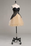 A Line Sweetheart Homecoming Dresses Tulle & Lace Short/Mini Lace