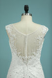 New Arrival Wedding Dresses V Neck Mermaid Tulle With Applique Chapel