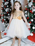 A-Line/Princess Organza Sequin Scoop Sleeveless Tea-Length Flower Girl Dresses TPP0007551