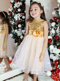 A-Line/Princess Organza Sequin Scoop Sleeveless Tea-Length Flower Girl Dresses TPP0007551